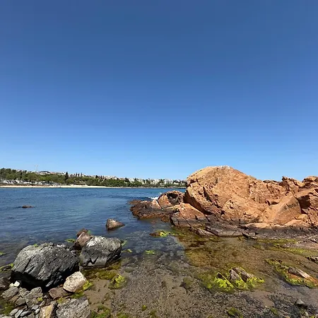 Апартамент Mare Черноморец