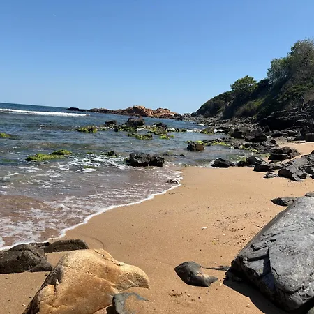 Mare Czernomorec