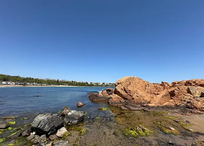 Апартамент Mare Черноморец