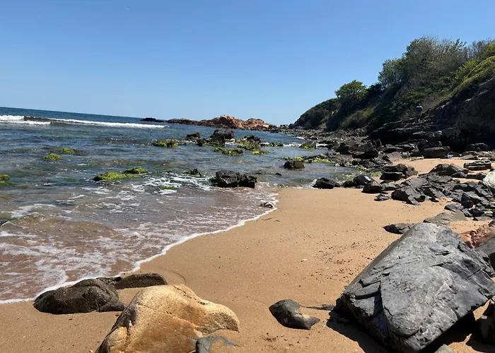 Mare Черноморец